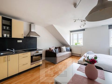 Pronájem bytu 1+kk, Praha - Nové Město, Wenzigova, 32 m2