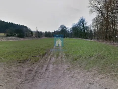 Pronájem louky, Plzeň - Koterov, 3693 m2