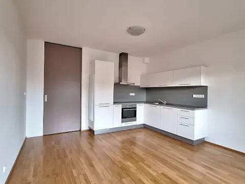 Pronájem bytu 1+1, Praha - Smíchov, Fráni Šrámka, 44 m2