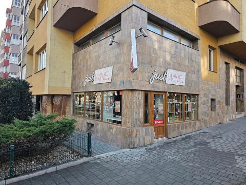 Pronájem obchodního prostoru, Brno, Zahradníkova, 79 m2