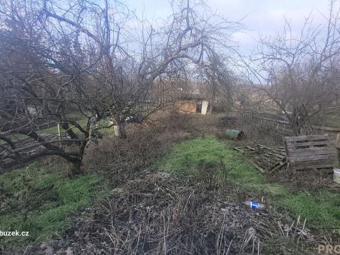 Prodej zahrady, Stříbrnice, 579 m2