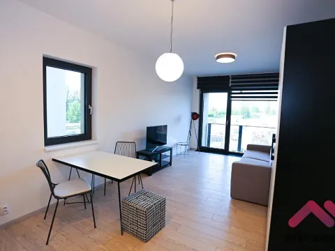 Pronájem bytu 1+kk, Praha - Karlín, U Mlýnského kanálu, 38 m2