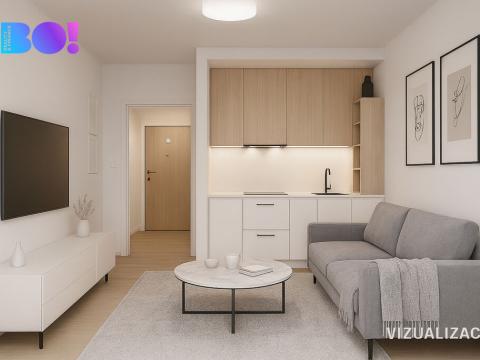 Prodej bytu 1+kk, Ostrava, Lumírova, 28 m2