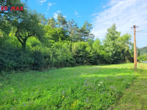 Prodej louky, Sýkořice, 3885 m2