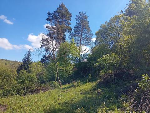 Prodej zahrady, Luhačovice, 2888 m2