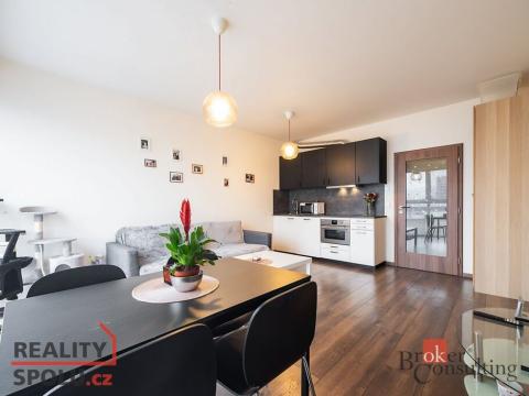 Prodej bytu 1+kk, Beroun - Beroun-Město, U Archivu, 32 m2