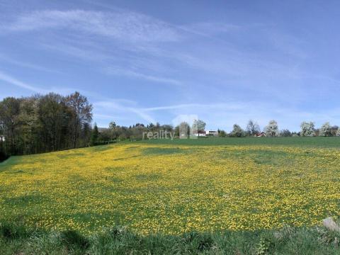 Prodej pole, Paceřice, 81754 m2