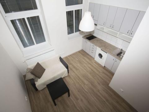 Pronájem bytu 1+kk, Praha - Smíchov, Radlická, 21 m2