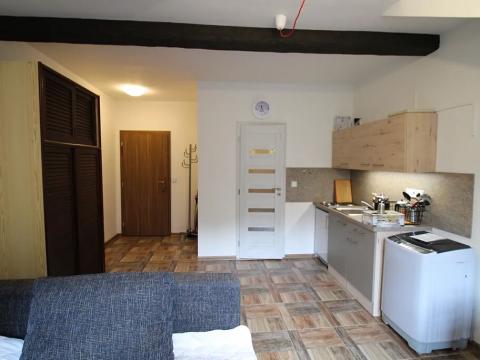 Pronájem bytu 1+kk, Karlovy Vary, Svahová, 22 m2