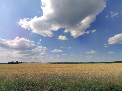 Prodej pole, Řepeč, 5480 m2