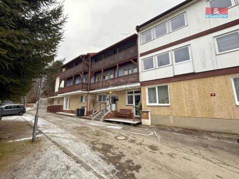 Prodej bytu 1+kk, Lipno nad Vltavou, 20 m2