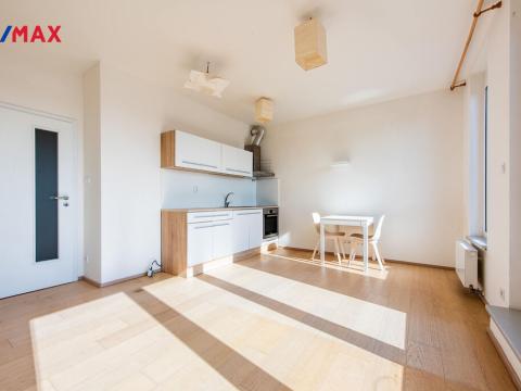 Pronájem bytu 1+kk, Brno - Ponava, U Červeného mlýna, 41 m2