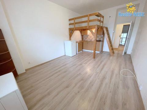 Pronájem bytu 1+kk, Praha - Nusle, Na Veselí, 30 m2