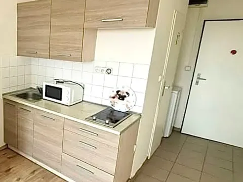 Pronájem bytu 1+kk, Praha - Vysočany, U vinných sklepů, 25 m2