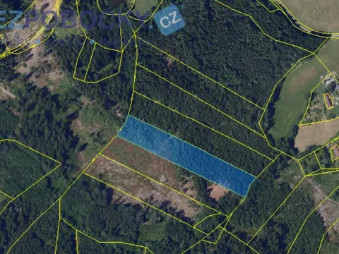 Prodej lesa, Vysočina, 26720 m2