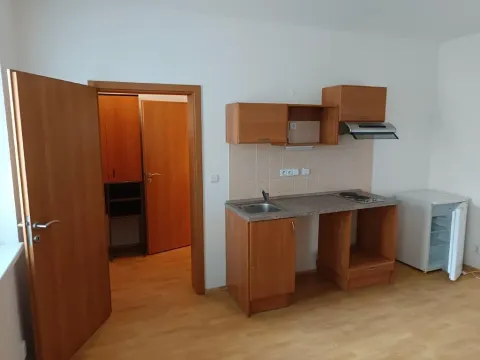 Pronájem bytu 1+kk, Brno, Francouzská, 25 m2