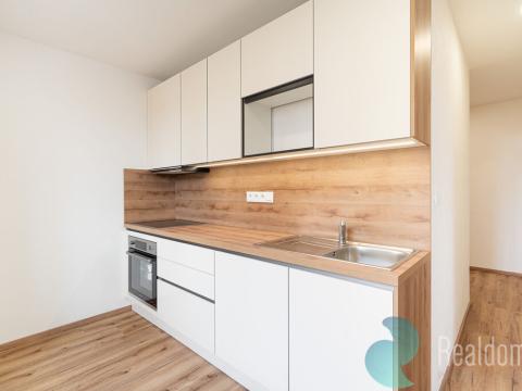 Prodej bytu 1+1, České Budějovice, J. Bendy, 40 m2