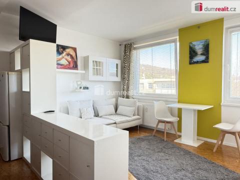 Pronájem bytu 1+kk, Ústí nad Labem - Krásné Březno, V Oblouku, 31 m2