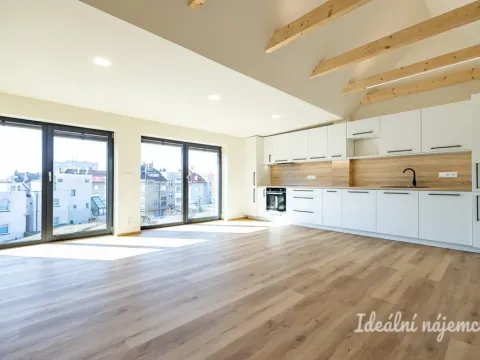 Pronájem bytu 3+kk, Hradec Králové - Pražské Předměstí, Albertova, 55 m2