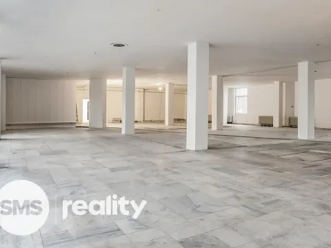 Pronájem obchodního prostoru, Karviná - Ráj, Borovského, 691 m2
