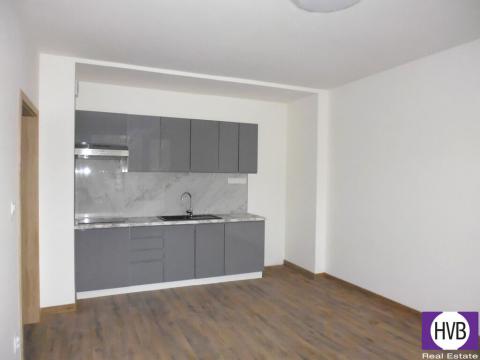 Prodej bytu 1+kk, Slapy, 27 m2