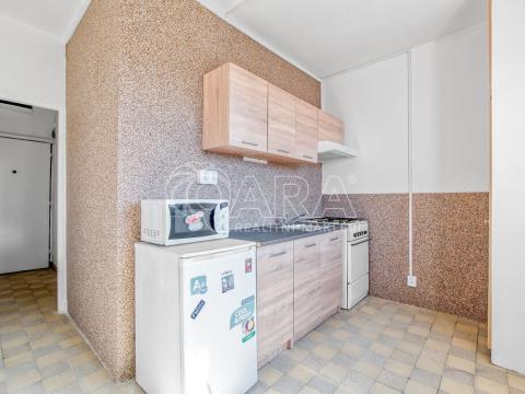 Pronájem bytu 1+1, Frýdek-Místek - Místek, Gagarinova, 37 m2
