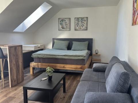 Prodej bytu 1+kk, Vrbno pod Pradědem, Žižkova, 52 m2