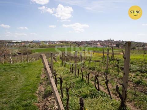 Prodej komerčního pozemku, Bořetice, 4731 m2