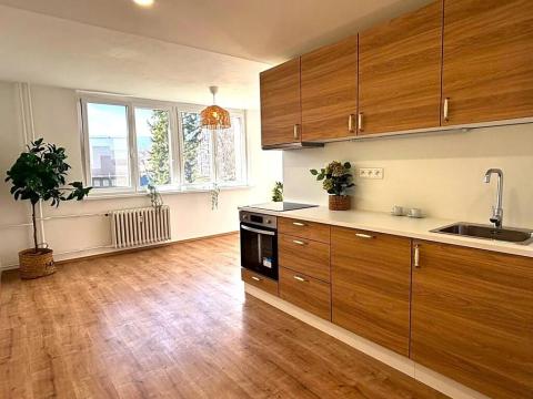 Pronájem bytu 3+kk, Meziboří, J. A. Komenského, 52 m2