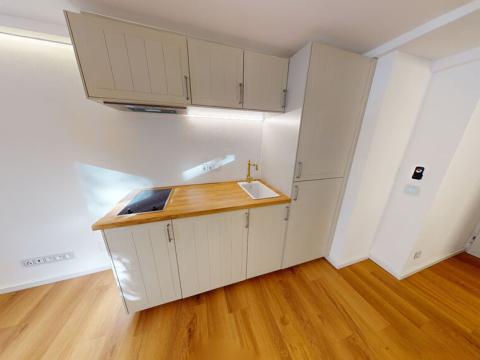 Pronájem bytu 1+kk, Praha - Břevnov, Nad Kajetánkou, 17 m2
