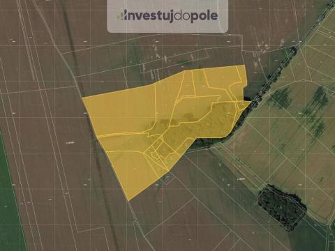 Prodej pole, Moravany, 181591 m2