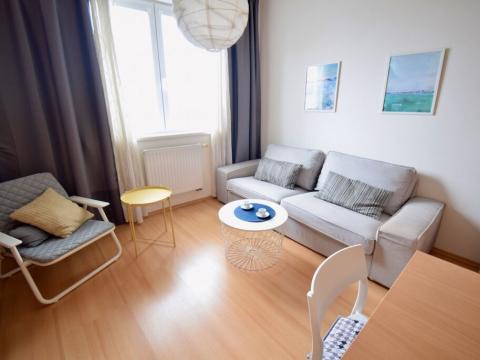 Pronájem bytu 2+kk, Brno - Veveří, Lidická, 40 m2