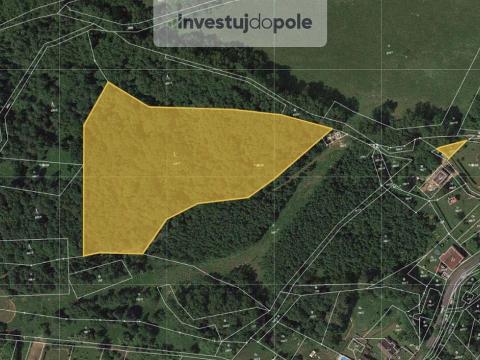 Prodej lesa, Valkeřice, 10230 m2