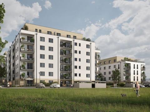 Prodej bytu 1+kk, Rychnov nad Kněžnou, Mírová, 39 m2