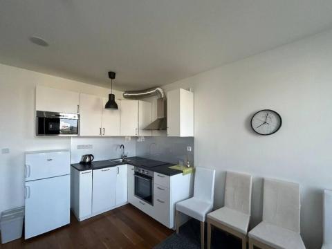 Pronájem bytu 1+kk, Praha - Vinohrady, Perucká, 30 m2