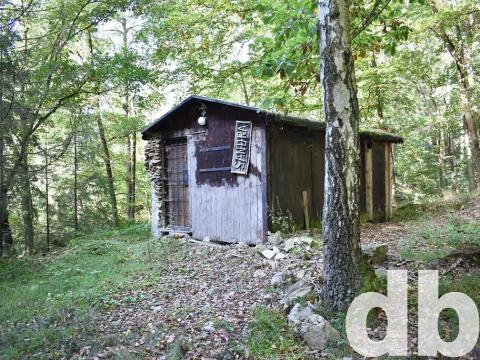 Prodej chaty, Dalovice, 17 m2