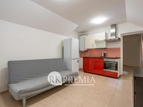 Pronájem bytu 1+1, Teplice, U Hadích lázní, 52 m2