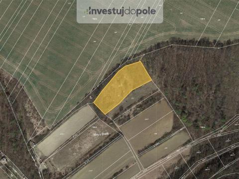 Prodej pozemku, Ždánice, 4501 m2