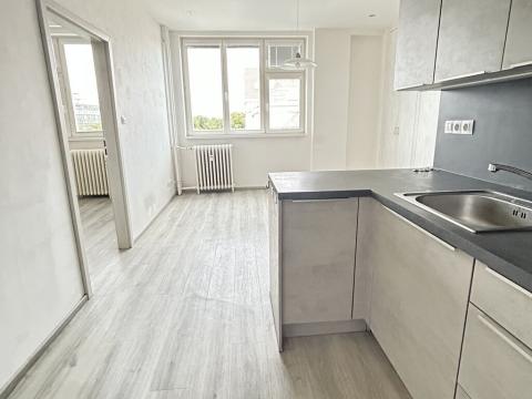 Pronájem bytu 2+kk, Praha - Vinohrady, Hollarovo náměstí, 47 m2