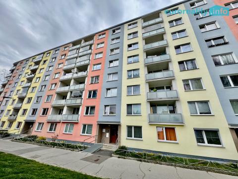 Pronájem bytu 1+kk, Cheb, Palackého, 20 m2