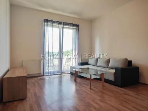 Pronájem bytu 2+kk, České Budějovice - České Budějovice 2, U Boru, 50 m2