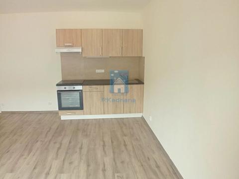 Pronájem bytu 1+kk, Plzeň, Rejskova, 45 m2