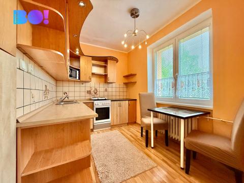 Pronájem bytu 1+1, Havířov, Karolíny Světlé, 36 m2