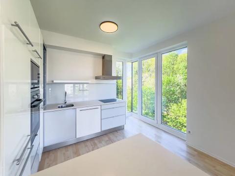 Pronájem bytu 3+kk, Praha - Hodkovičky, U Zátiší, 90 m2