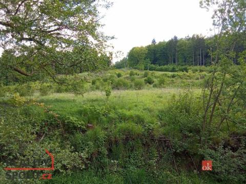 Prodej pozemku pro bydlení, Janská, 22894 m2