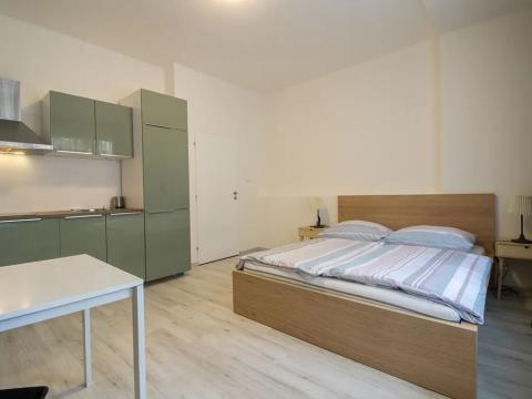 Pronájem bytu 1+kk, Praha - Nové Město, Na zbořenci, 27 m2
