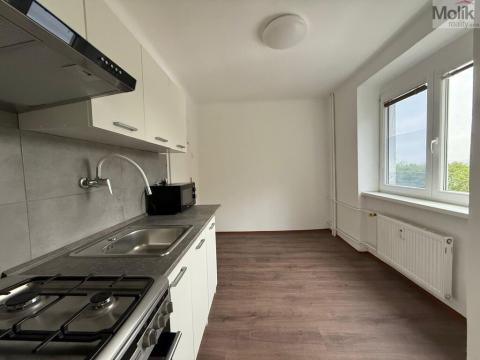 Pronájem bytu 3+1, Litvínov - Chudeřín, Horská, 58 m2