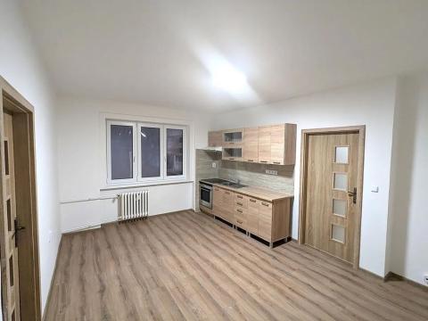 Pronájem bytu 2+kk, Ústí nad Labem, Mlýnská, 54 m2