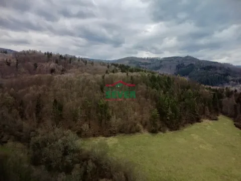 Prodej lesa, Stráž nad Ohří, 36852 m2