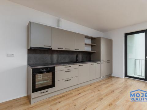 Pronájem bytu 2+kk, Plzeň - Jižní Předměstí, Železná, 73 m2